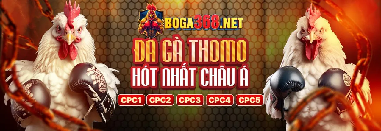 Tổng quan về các ưu đãi Thomo Khuyến Mãi 2026